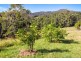 83 Nolans Road, Stokers Siding NSW 2484
