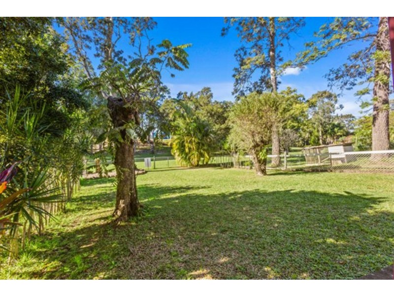 64 Wardrop Street, Murwillumbah NSW 2484