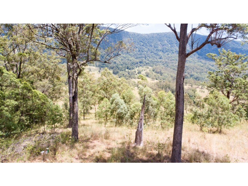 Lot 11 Everinghams Road, Pumpenbil NSW 2484