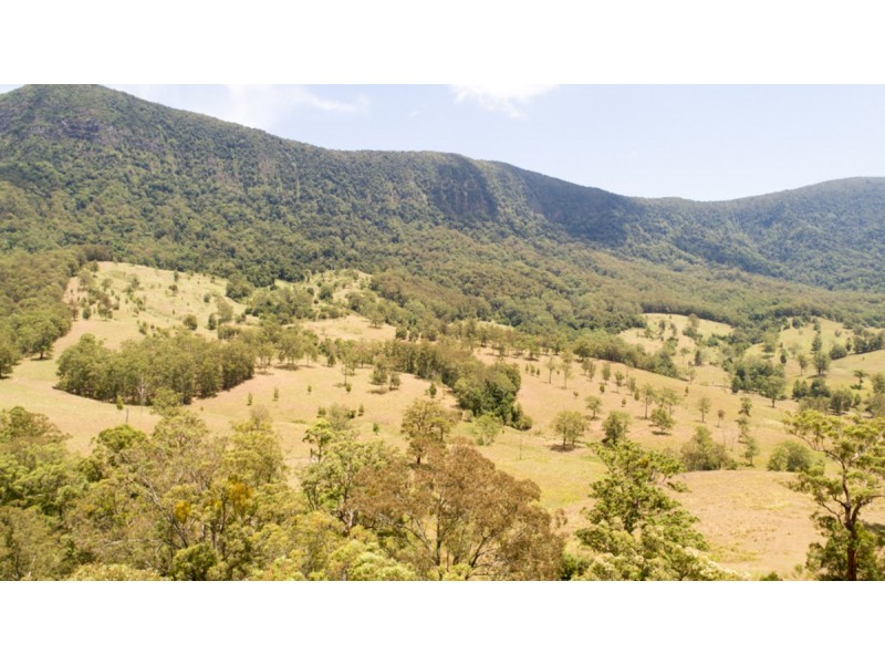 Lot 11 Everinghams Road, Pumpenbil NSW 2484