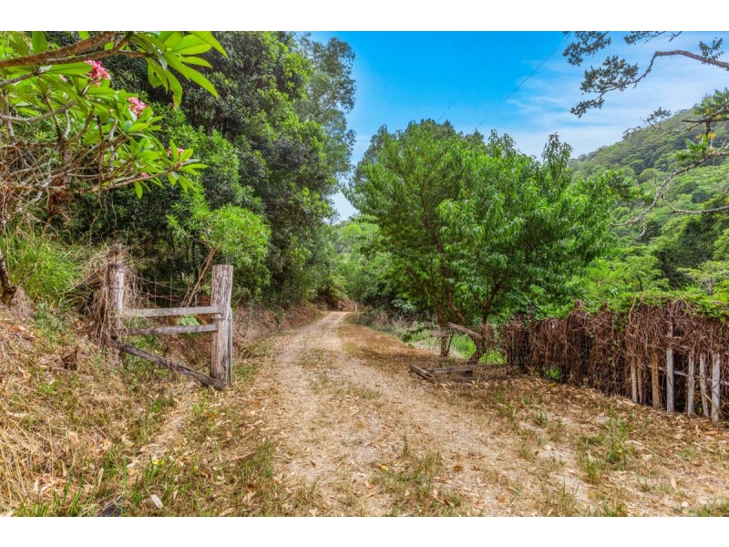 166 Crooks Valley Road, Crystal Creek NSW 2484