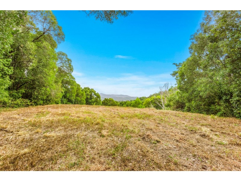 166 Crooks Valley Road, Crystal Creek NSW 2484