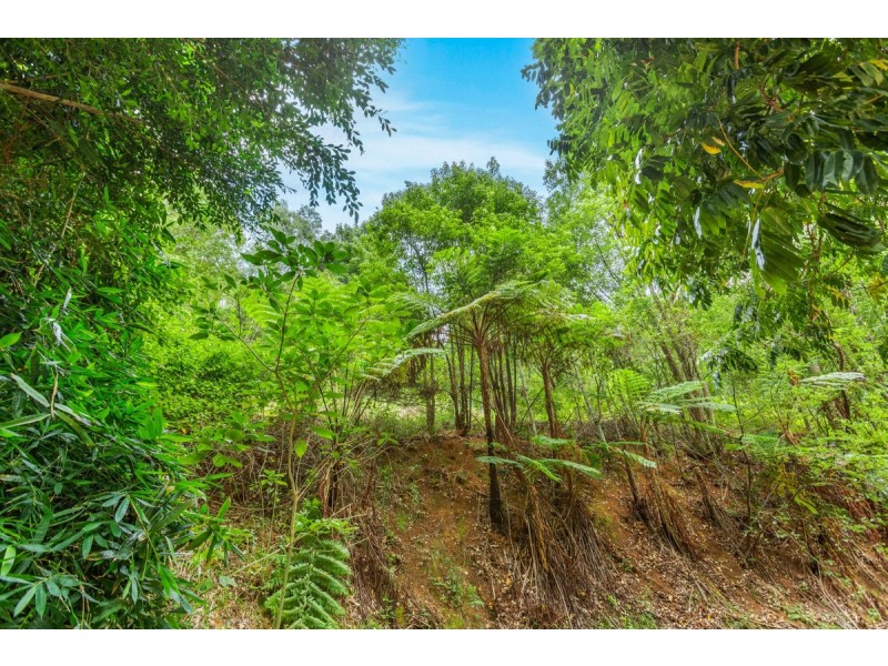 166 Crooks Valley Road, Crystal Creek NSW 2484