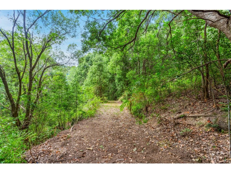 166 Crooks Valley Road, Crystal Creek NSW 2484