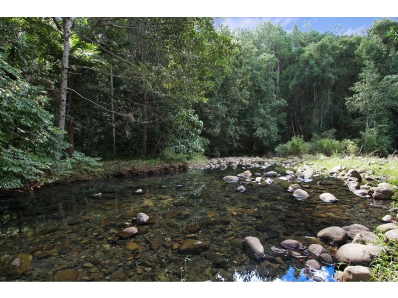 134 Mount Warning Road, Mount Warning NSW 2484