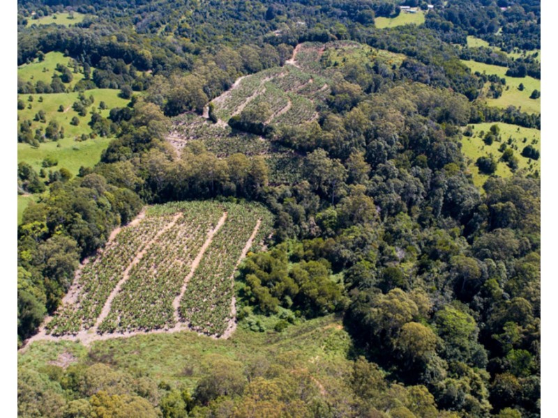 2 Minnows Road,, Dunbible NSW 2484