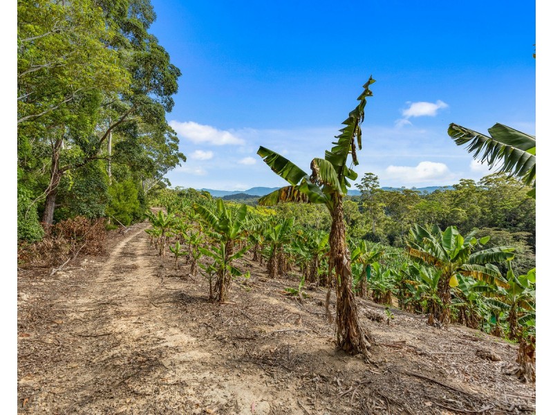 2 Minnows Road,, Dunbible NSW 2484