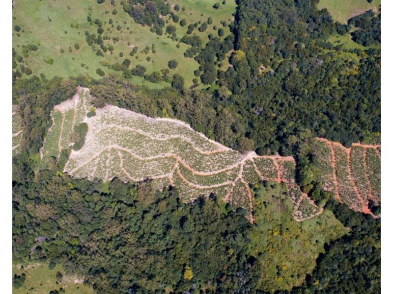 2 Minnows Road,, Dunbible NSW 2484