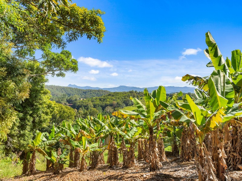 2 Minnows Road,, Dunbible NSW 2484