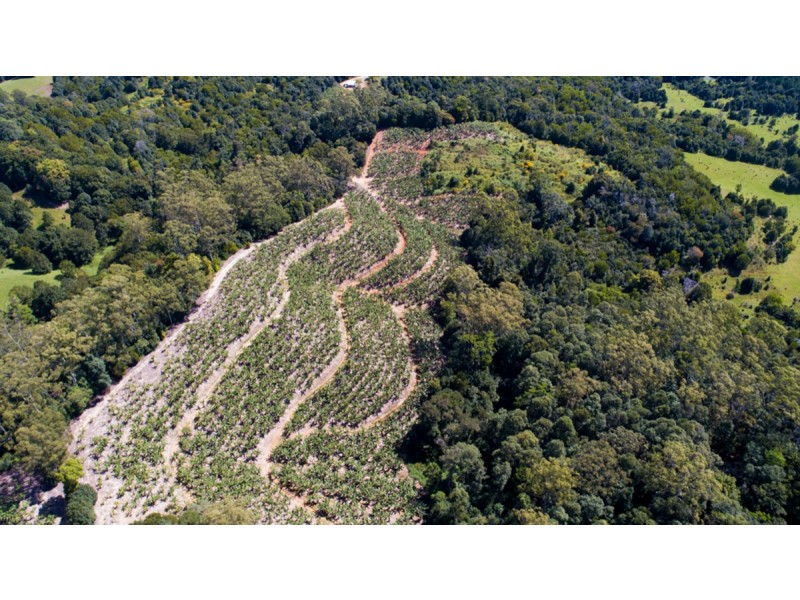 2 Minnows Road,, Dunbible NSW 2484