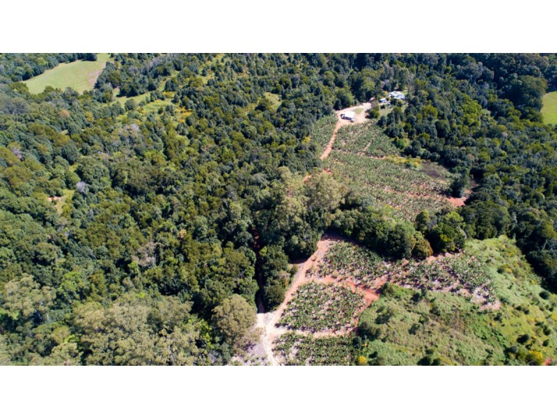 2 Minnows Road,, Dunbible NSW 2484