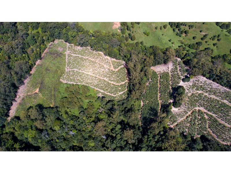 2 Minnows Road,, Dunbible NSW 2484