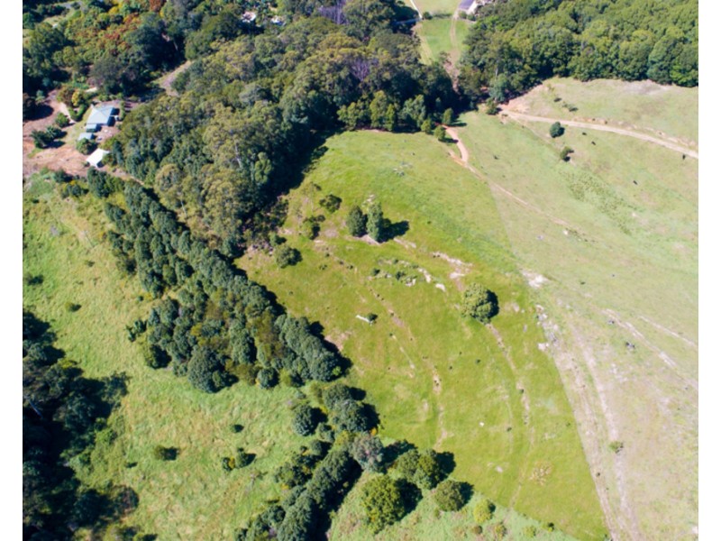 100 Adcocks Road, Stokers Siding NSW 2484