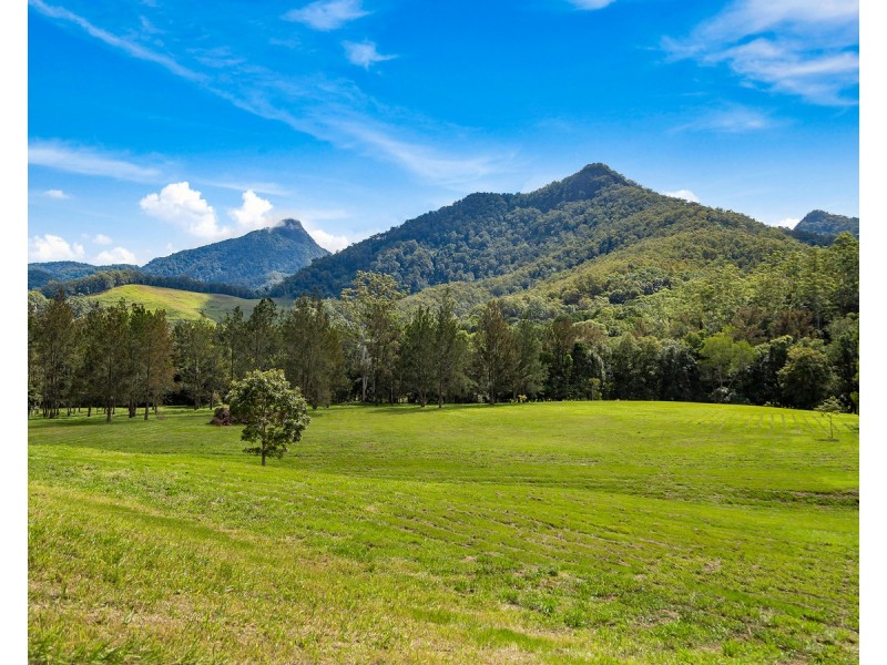1864 Kyogle Road,Terragon, Uki NSW 2484