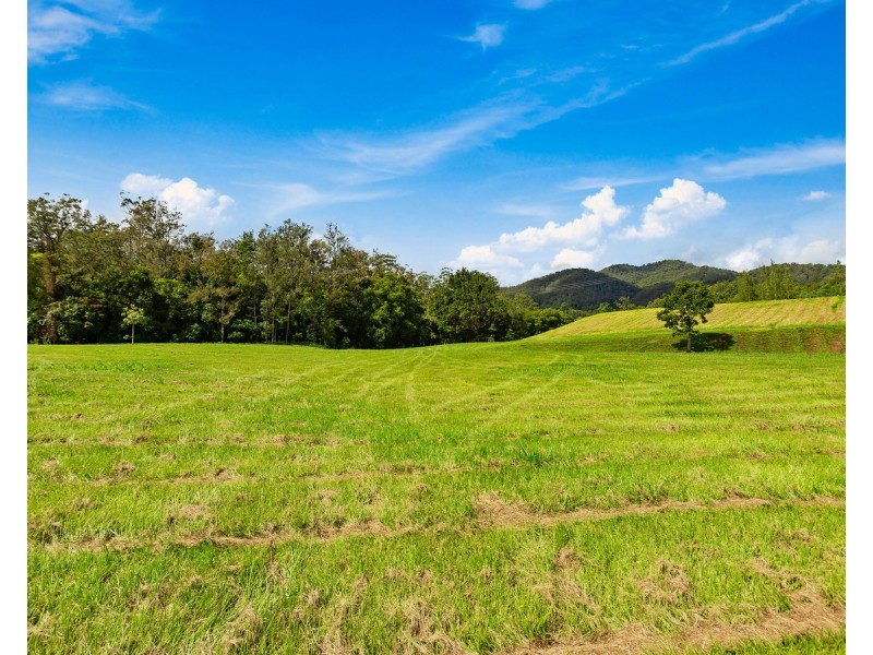 1864 Kyogle Road,Terragon, Uki NSW 2484