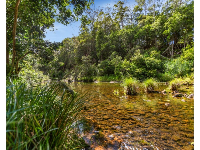 1864 Kyogle Road,Terragon, Uki NSW 2484
