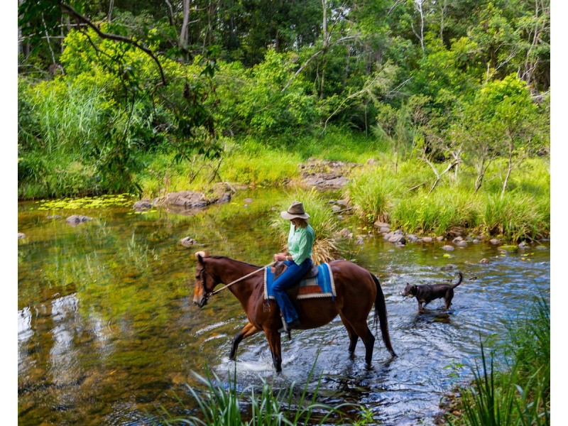 1864 Kyogle Road,Terragon, Uki NSW 2484