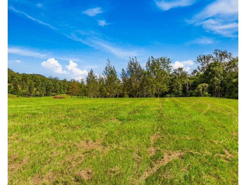 1864 Kyogle Road,Terragon, Uki NSW 2484