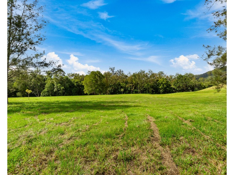 1864 Kyogle Road,Terragon, Uki NSW 2484