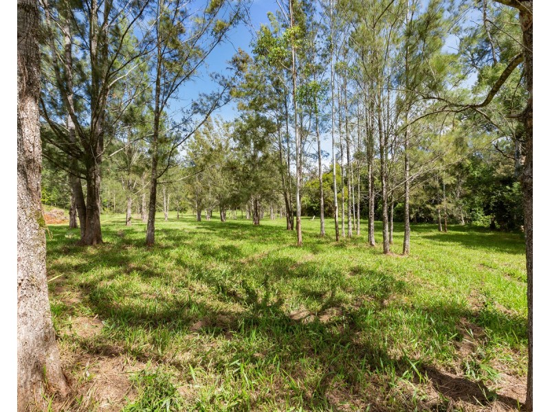 1864 Kyogle Road,Terragon, Uki NSW 2484