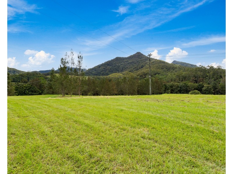 1864 Kyogle Road,Terragon, Uki NSW 2484