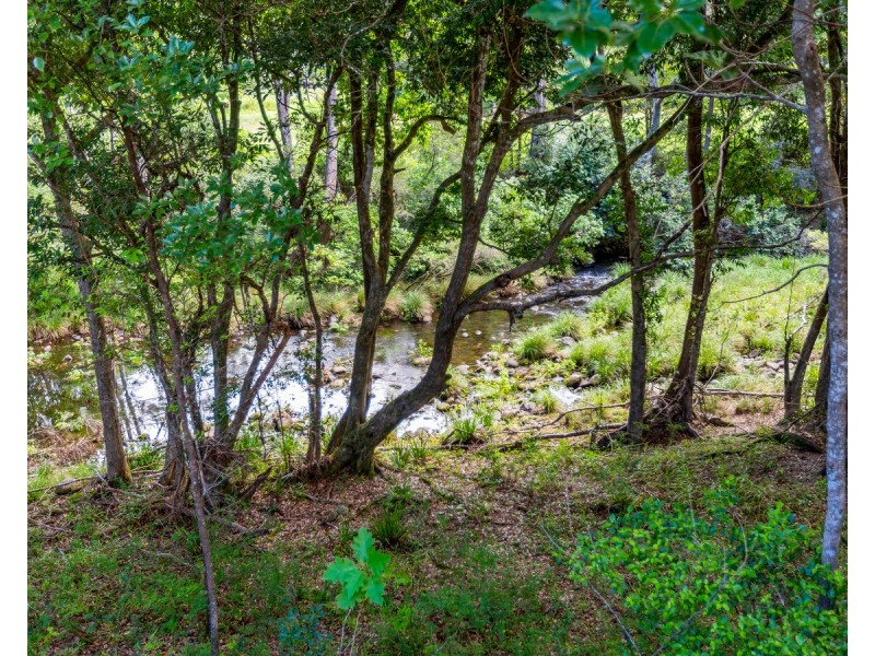 1864 Kyogle Road,Terragon, Uki NSW 2484