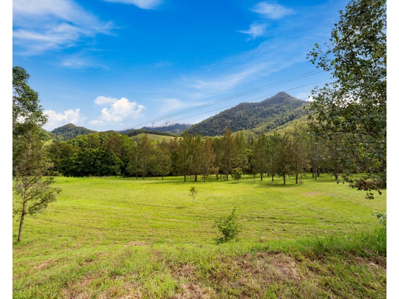 1864 Kyogle Road,Terragon, Uki NSW 2484