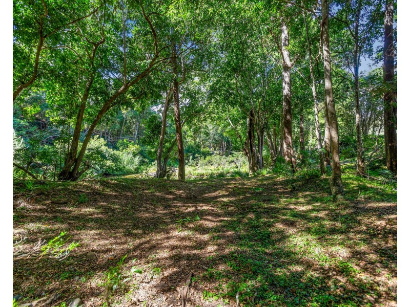 1864 Kyogle Road,Terragon, Uki NSW 2484