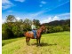 1864 Kyogle Road,Terragon, Uki NSW 2484