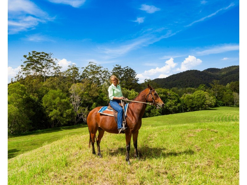 1864 Kyogle Road,Terragon, Uki NSW 2484