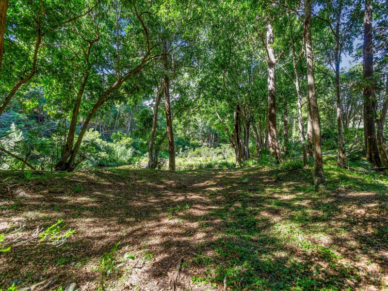 1864 Kyogle Road,Terragon, Uki NSW 2484