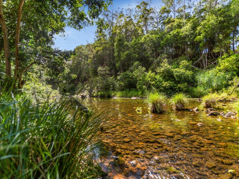 1864 Kyogle Road,Terragon, Uki NSW 2484