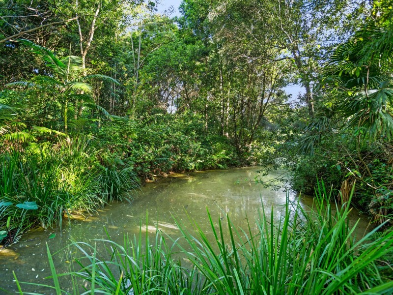 220 Stokers Road, Stokers Siding NSW 2484