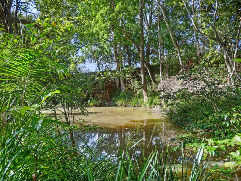 220 Stokers Road, Stokers Siding NSW 2484