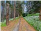 403 Carool Road, Carool NSW 2486
