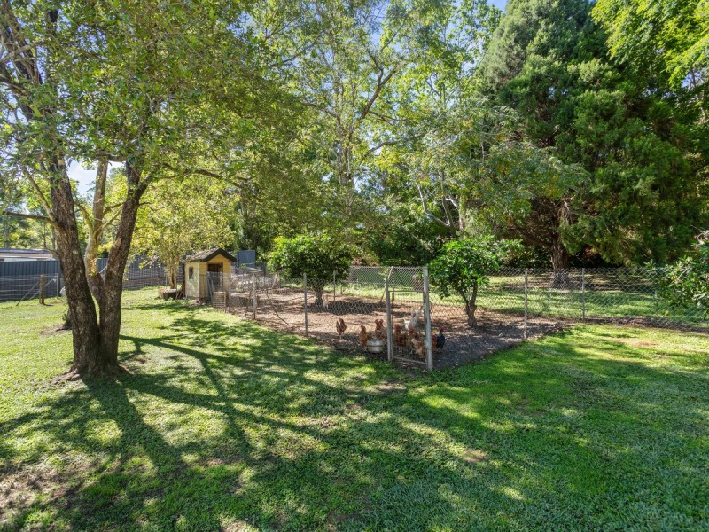127 Smiths Creek Road, Uki NSW 2484