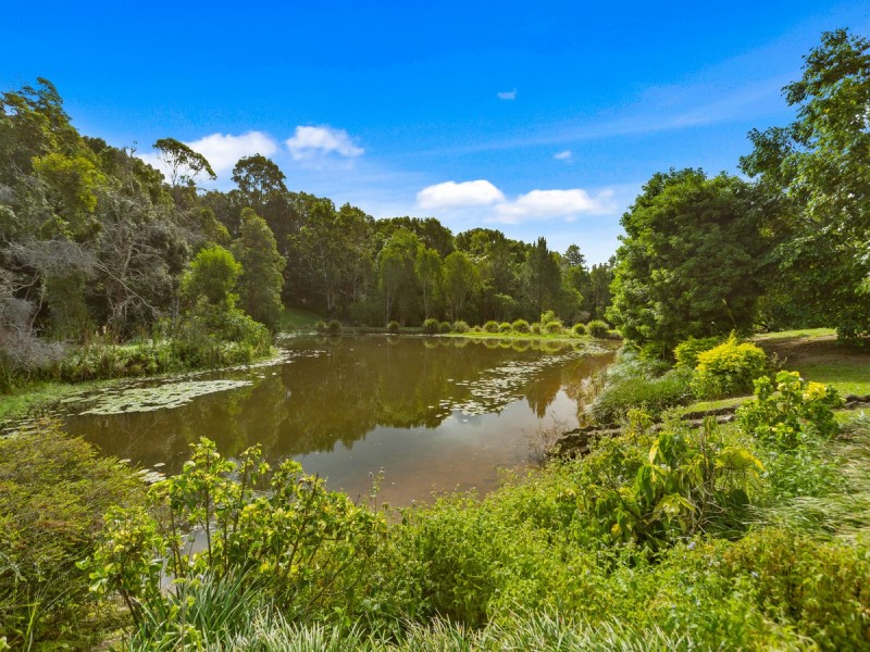 561 Stokers Road, Dunbible NSW 2484