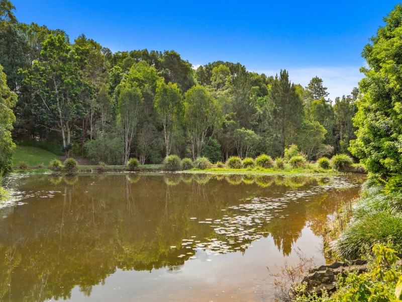 561 Stokers Road, Dunbible NSW 2484