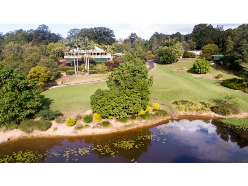 561 Stokers Road, Dunbible NSW 2484
