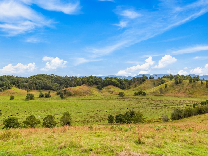 91 Fernvale Road, Fernvale NSW 2484