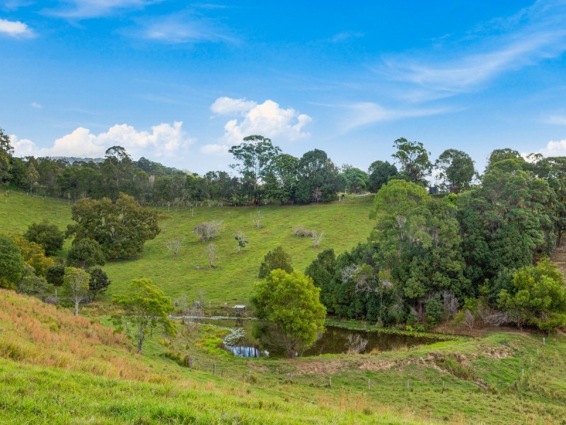 91 Fernvale Road, Fernvale NSW 2484