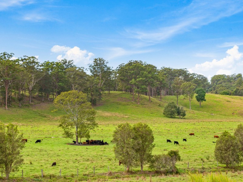 91 Fernvale Road, Fernvale NSW 2484