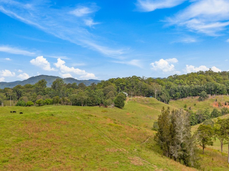 91 Fernvale Road, Fernvale NSW 2484