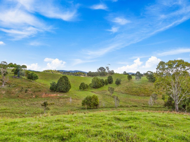 91 Fernvale Road, Fernvale NSW 2484