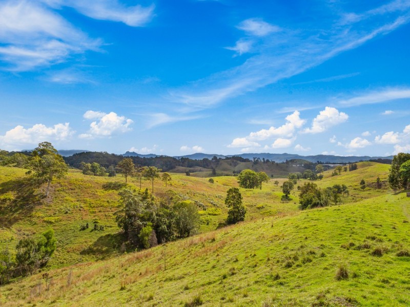 91 Fernvale Road, Fernvale NSW 2484