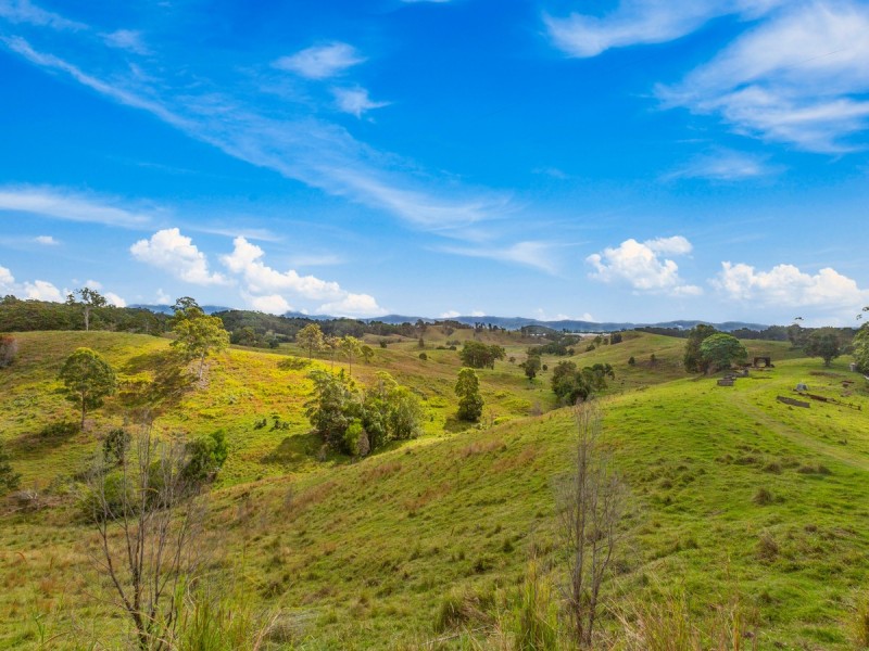 91 Fernvale Road, Fernvale NSW 2484