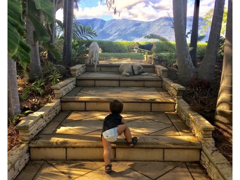 191 Pinnacle Road, Pumpenbil NSW 2484