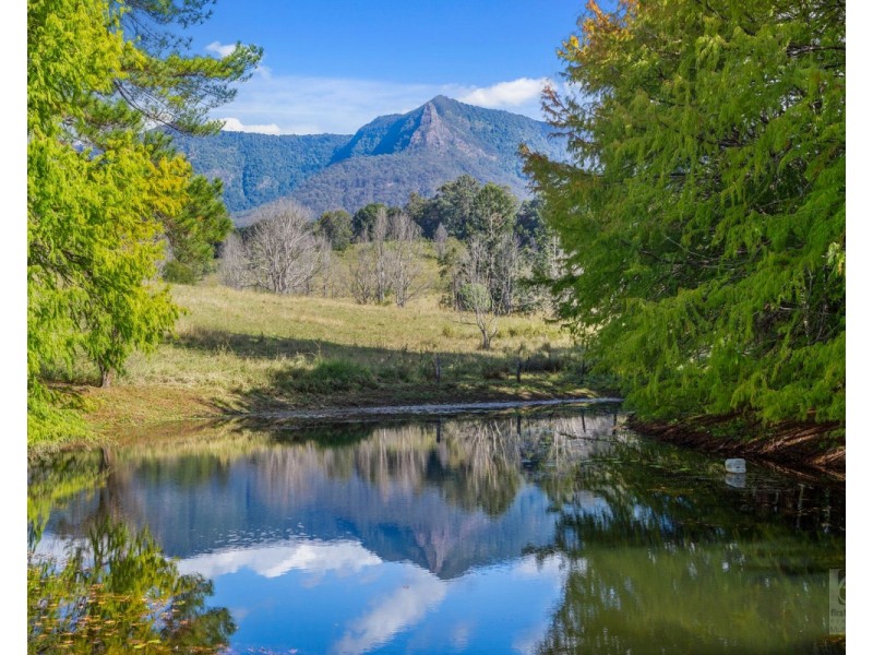 191 Pinnacle Road, Pumpenbil NSW 2484