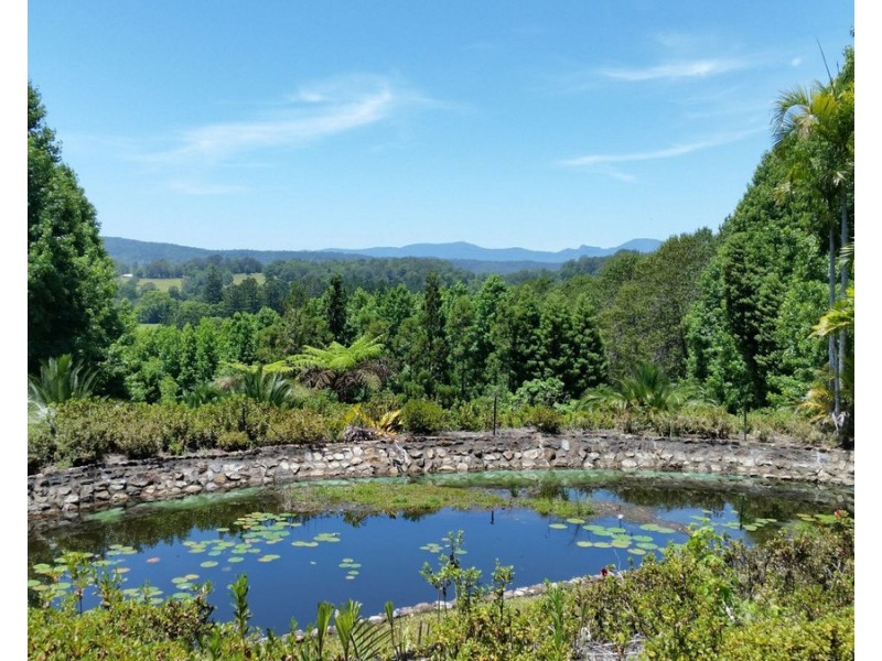 191 Pinnacle Road, Pumpenbil NSW 2484