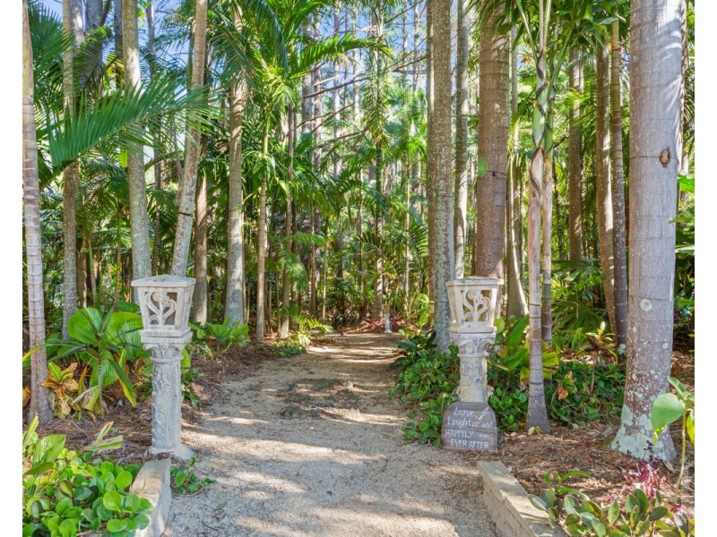 191 Pinnacle Road, Pumpenbil NSW 2484